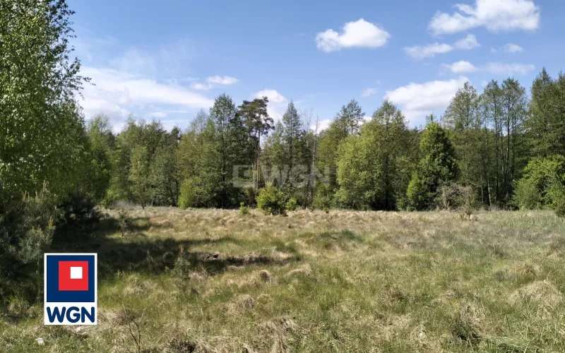 Dom na  sprzedaż Lamkowizna - Domek nad rzeką Drwęcą